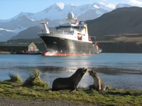 RRS James Cook in South Georgia (ANDREX 2009)
